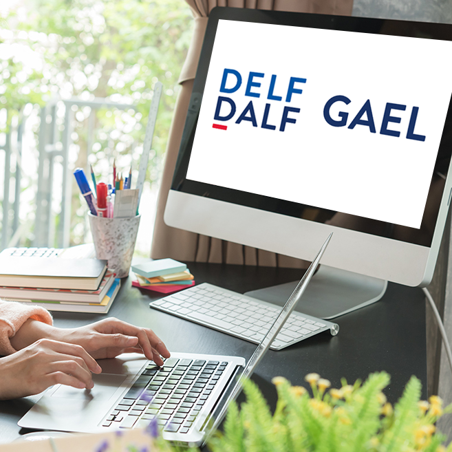 GAEL : une plateforme de plus en plus performante grâce à la communauté DELF-DALF